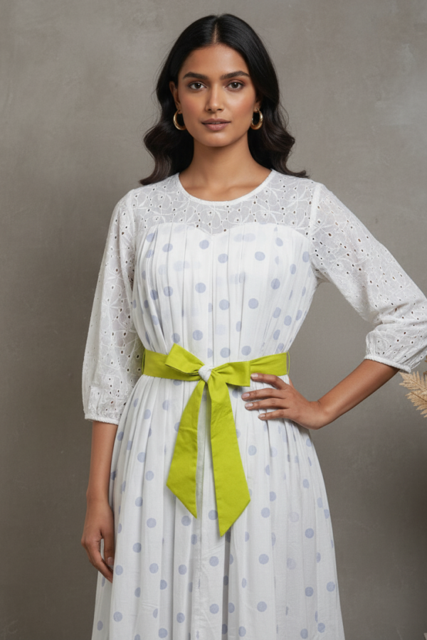 Devyani Mul Cotton Schiffli Pleated Dress